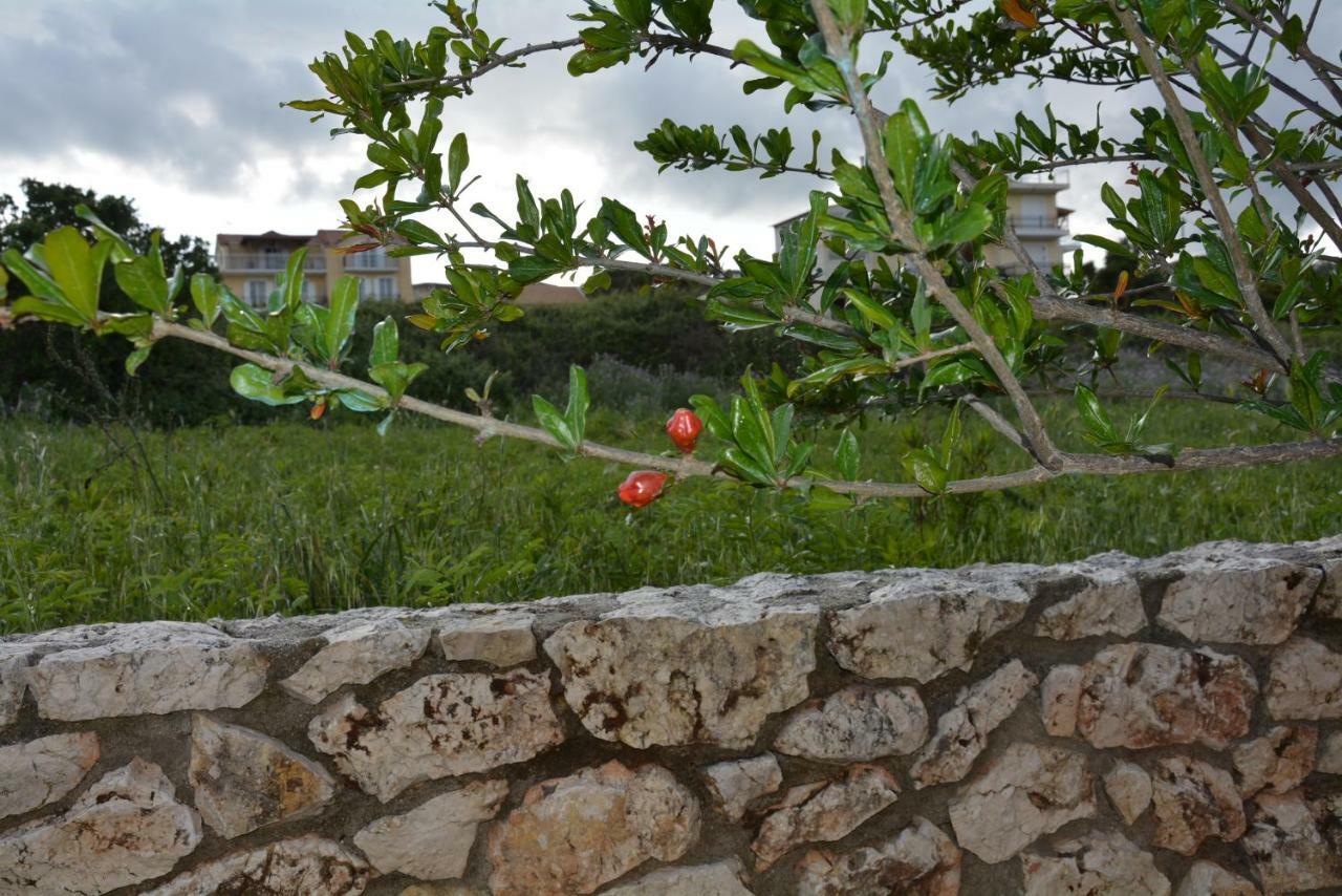 Lotus Sea View Apartments Lixouri Exterior foto